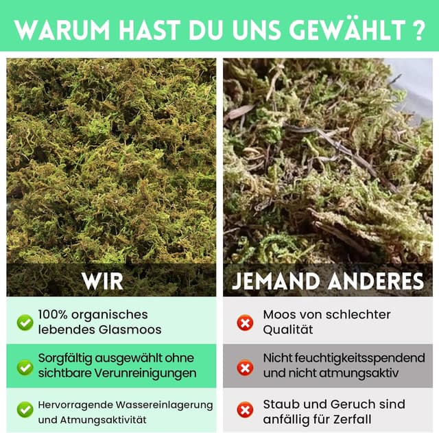 Detalle de Riare 400 g Premium natürliches Moos getrocknet für Pflanzen, Reptilien & Inkubationen