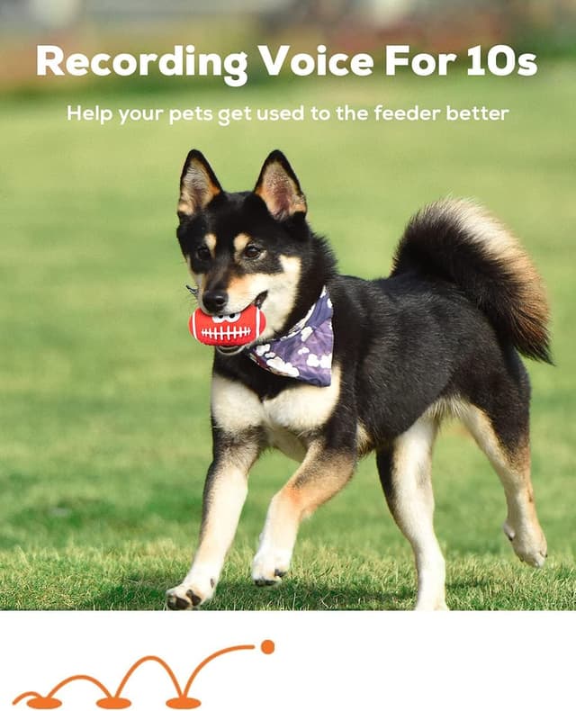 Thumbnail 1 de TONGKTAI 4 Pezzi set 2,7" per cani