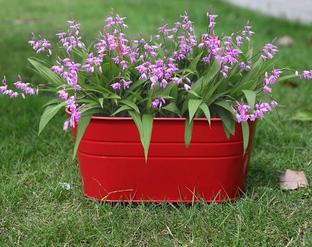 Detalle de Atoke 4-Pack Metal Hanging Flower Pots with Detachable Hooks (27.5cm) for Balcony Railings & Fences