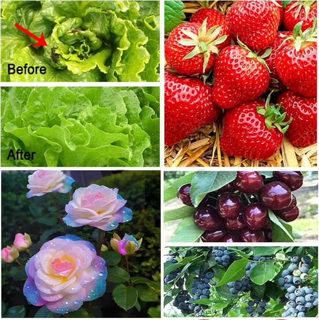 Detalle de RIFNY Gemüseschutznetz feinmaschig (3x15 m) – Insektenschutznetz für Hochbeet, Tunnel und Gewächshaus