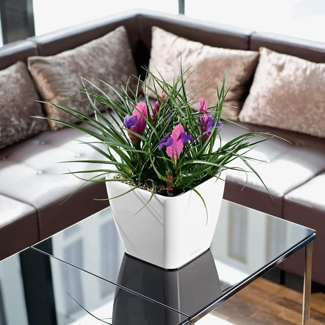 Thumbnail 4 de LECHUZA QUADRO Premium LS 21 taupe hochglanz