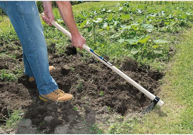 Detalle 2 de Draper Tools DH azada de cavar, color azul 🛠