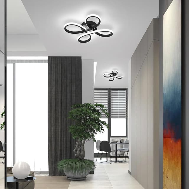 Detalle de EIDISUNY Modern LED Ceiling Light 30W (Black, Cool White 6000K) for Living Rooms & Hallways