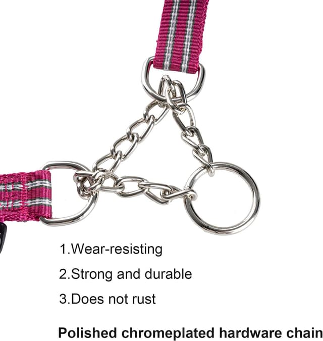 Thumbnail 4 de Petiry Half Chain Choke Collar Large Dogs