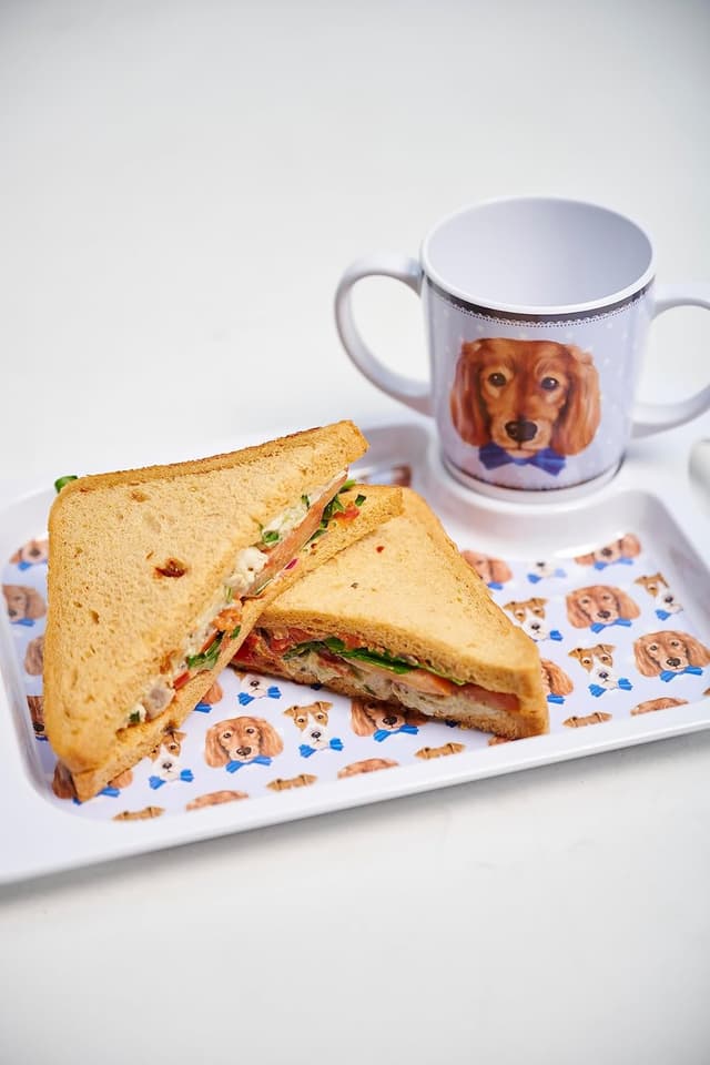 Detalle 2 de Dog lightweight melamine snack tray 33.8cm