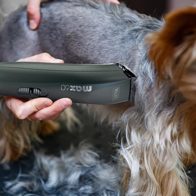 Thumbnail 6 de Wahl Animal Clipper Kit Max 60 & Pocket Pro : tondeuse sans fil pour chiens et chats, faible vibration
