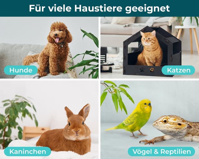 Detalle 1 de Giardien Schnelltest 2x für Hund & Katze