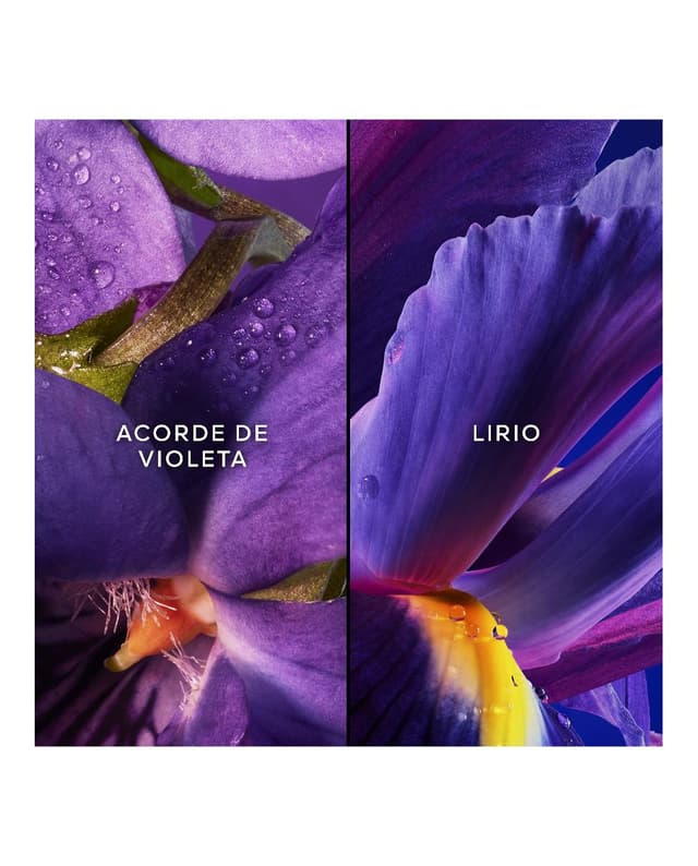 Thumbnail 4 de Guerlain Les Légendaires Insolence — Estuche de regalo