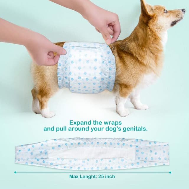 Detalle de Flying Paws Male Dog Nappies M-22