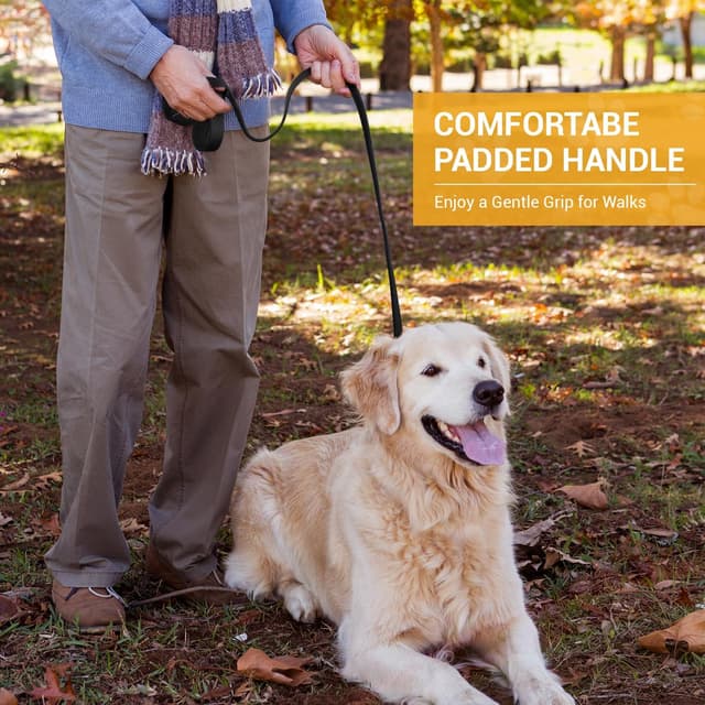 Detalle 2 de PETCOOZ Hundeleine 3 m Verstellbar 🐕