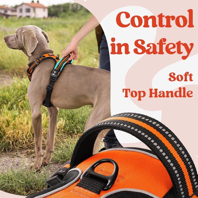 Detalle de rabbitgoo Dog Harness (Medium, M) with Neck Release Buckle and Front/Back Clips – Orange