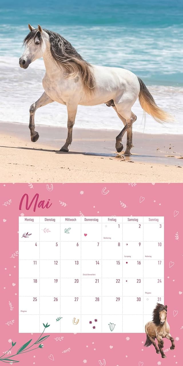 Detalle de Alpha Edition Pferdefreunde Kalender 2026 (Broschürenkalender, 30×30 cm) mit Stundenplänen, Ferientabelle & Extra-Spiel