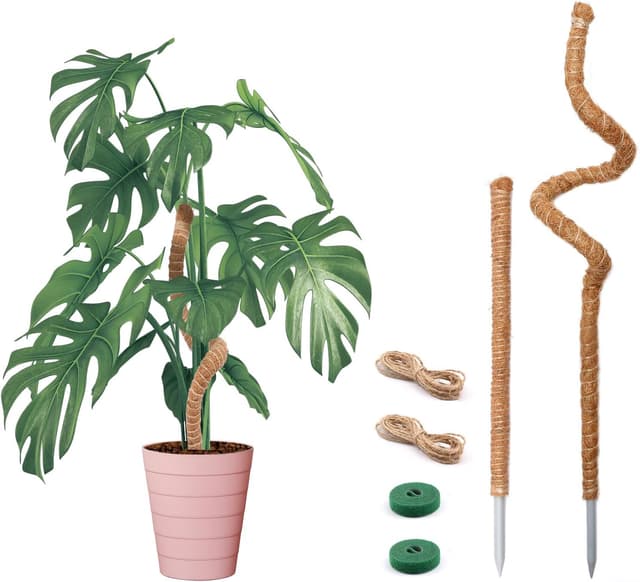 Detalle de Bendable Moss Pole for Plants (Monstera) – Bendable Coco Coir Plant Support Stakes, 2 Pack (25 in/48 in)