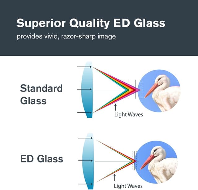 Thumbnail 2 de Celestron Nature DX ED 8x42 Binoculars