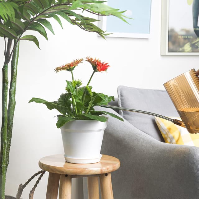 Thumbnail 6 de T4U 17.5cm plastic plant pots 6 pack