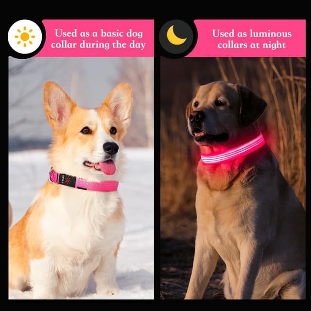 Detalle 2 de Sugiifamy Light Up Dog Collar (Pink, Large) with USB rechargeable LED and 3 flashing modes