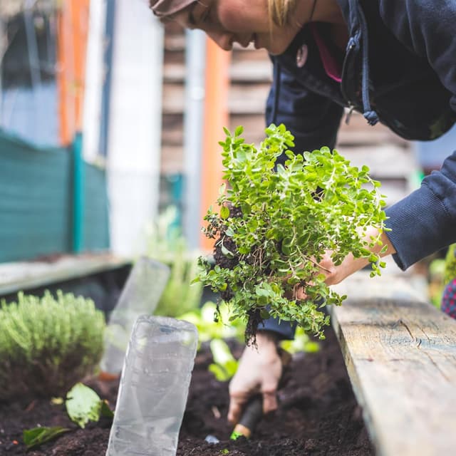 Thumbnail 4 de Relaxdays Cono regador 8 picos 1,5L