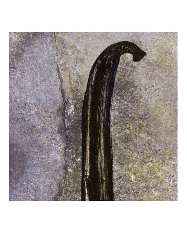 Thumbnail 5 de Chloé Nomade Nuit d'Egypte ✨ Perfume para Mujeres