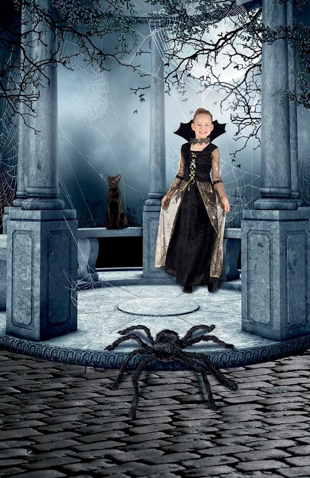 Thumbnail 1 de Boland 74394 Ragno peloso 70 cm