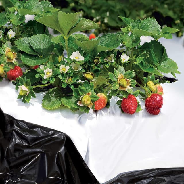 Thumbnail 1 de TENAX Black White Cover 1,40x10 m Film antierbacce