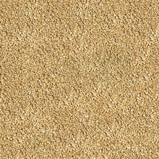 Thumbnail 1 de SERA Bettagran flocons 10 g đ