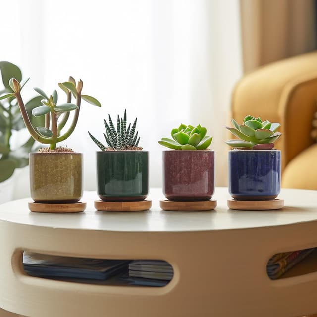 Thumbnail 6 de T4U set da 6 mini vasi in ceramica da interno con sottovaso (apertura 6 cm)