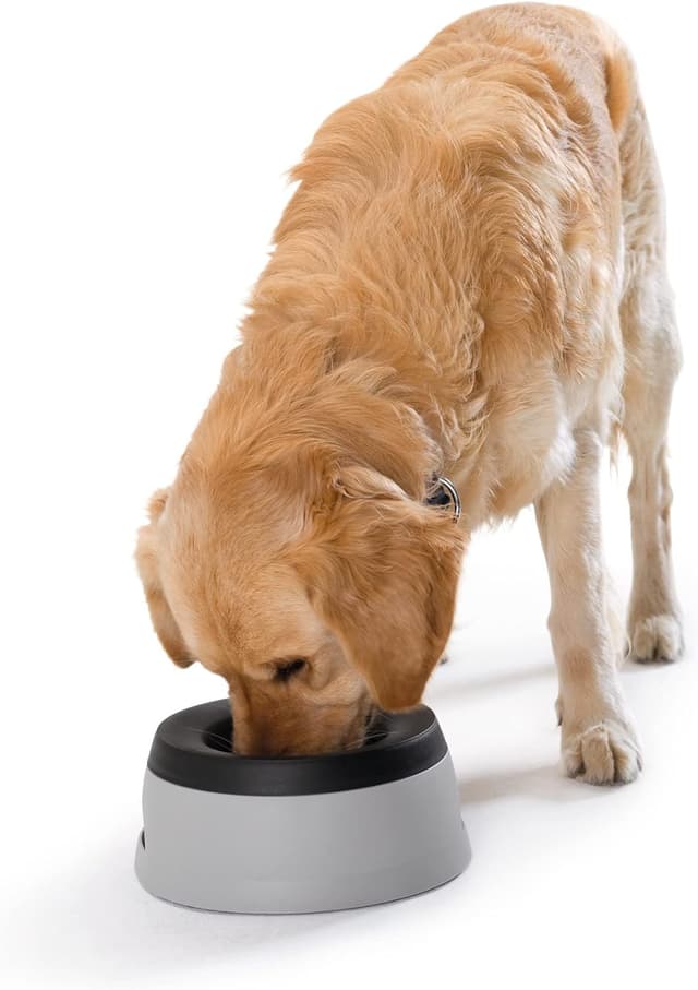 Detalle 2 de Hunter Reisenapf Road Refresher 1,4 l