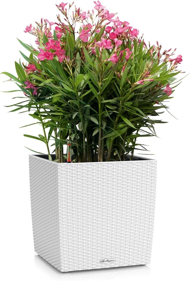 Detalle 2 de LECHUZA CUBE Cottage 30 bianco 15376