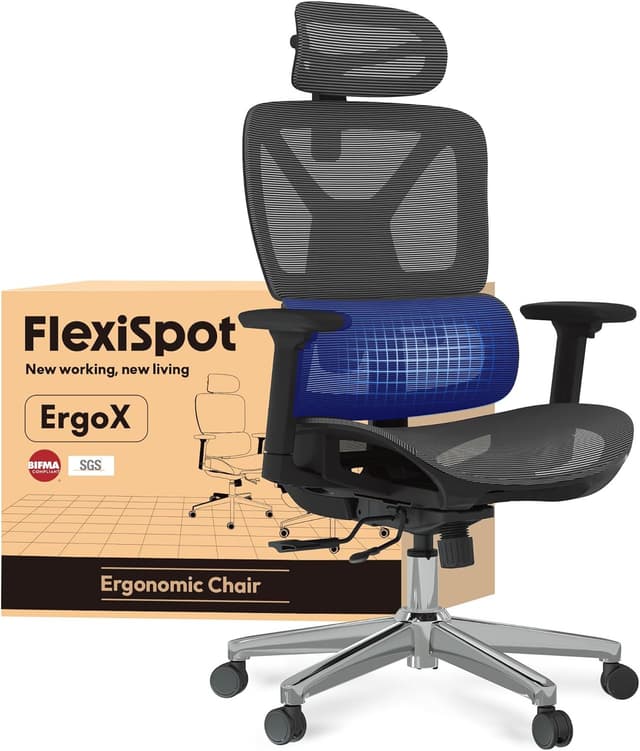 Detalle de FlexiSpot ErgoX chaise de bureau ergonomique grise, accoudoirs 3D et soutien lombaire indépendant