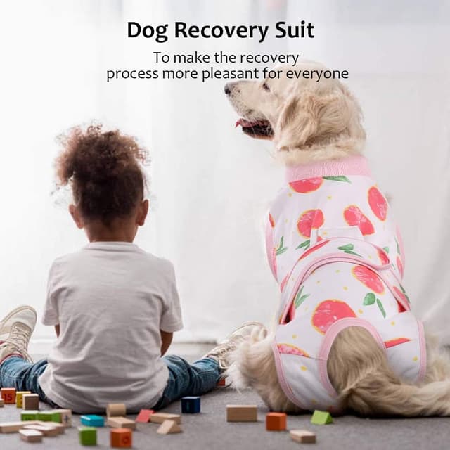 Thumbnail 6 de Kuoser Dog Surgery Recovery Suit (Peach Powder) – soft recovery onesie alternative to a cone