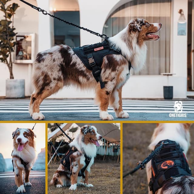 Detalle 2 de OneTigris amortisseur pour chien 51 cm : laisse en nylon avec rallonge réfléchissante