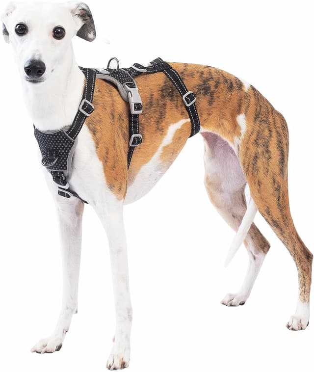 Detalle de Huntboo Harnais anti-fugue réfléchissant anti-traction pour chien (noir, taille L)