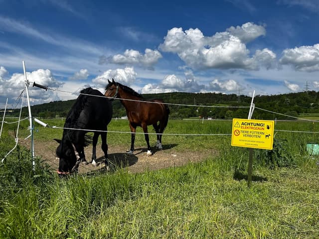 Detalle de XXL Elektrozaun-Schild 30 x 40 cm