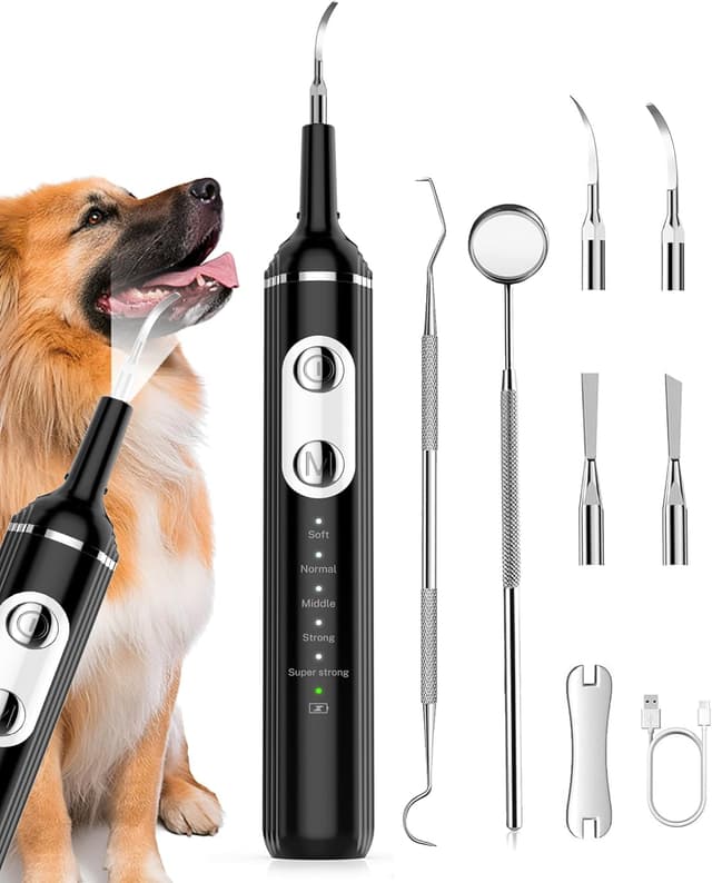 Detalle de Wagner Stern Plaque Remover for Teeth