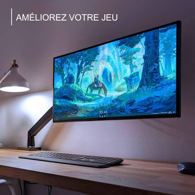 Detalle de Invision MX450 bras écran 2-15 kg VESA