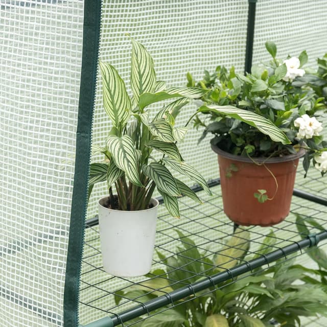 Thumbnail 3 de WOLTU Invernadero 143x143x195 cm para jardín