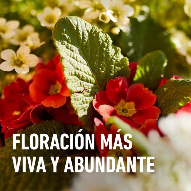 Thumbnail 3 de Compo Bio Fortigo Flores 🌸 1L para plantas