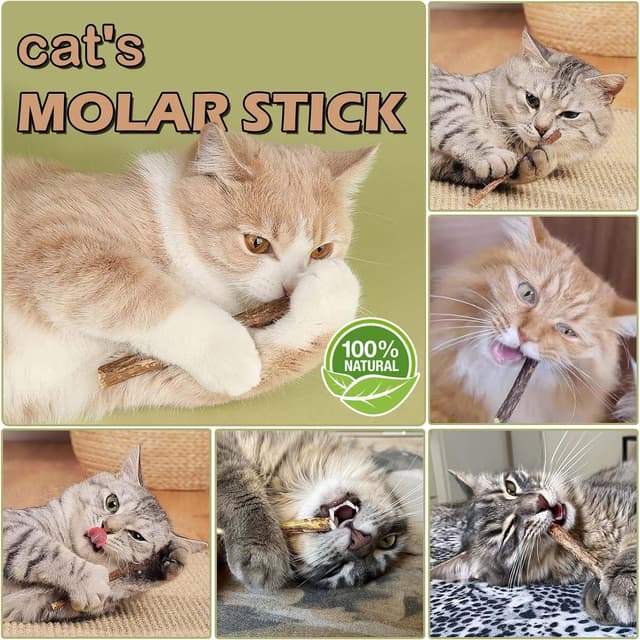 Detalle de SeaMorn Matatabi Silvervine Kausticks (30 Stück) – Katzenminze-Spielzeug für Zahnpflege & gegen Mundgeruch