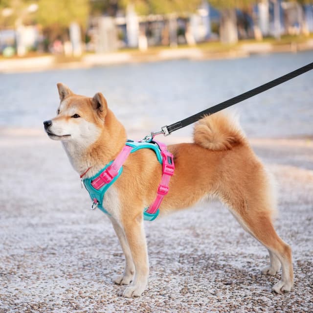Detalle de PHOEPET Anti-Zug Hundegeschirr mit verstellbaren Riemen, reflektierendem Sicherheitsdesign (XL, minzgrüne Basis & pinke Träger)