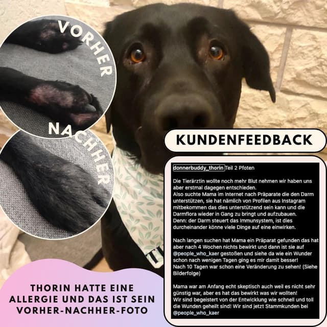 Thumbnail 3 de People who Kaer Darmpulver 200 g für Hunde