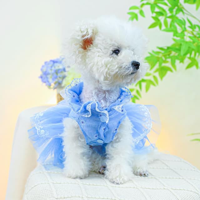 Detalle 2 de BT Bear Small Dog Dress (Large) – Puppy Skirt with Bow, Lace Princess Tutu for Wedding & Photos (Blue, L)