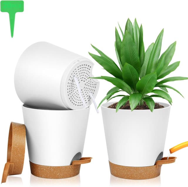 Detalle de OFFCUP Vasi Autoirriganti 16,5cm