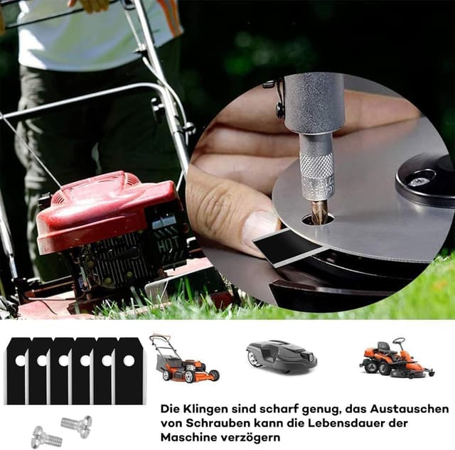 Detalle 2 de Titan Messer Klingen Set 30 Stück