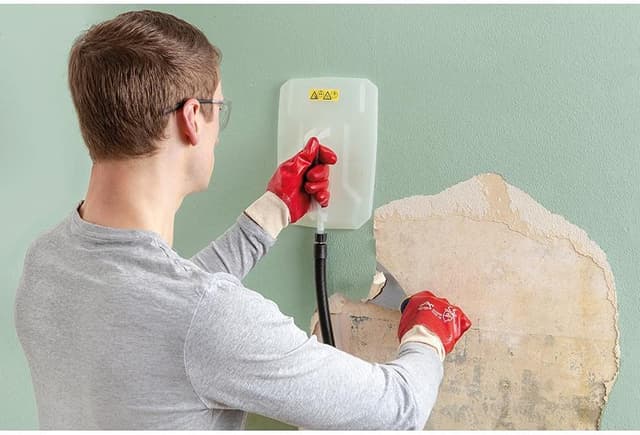 Detalle de WAGNER SteamForce Dampftapetenablöser 4 l