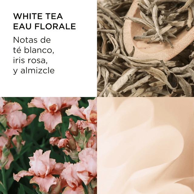 Thumbnail 1 de Elizabeth Arden White Tea Eau Florale 100 ml — eau de parfum 🌸