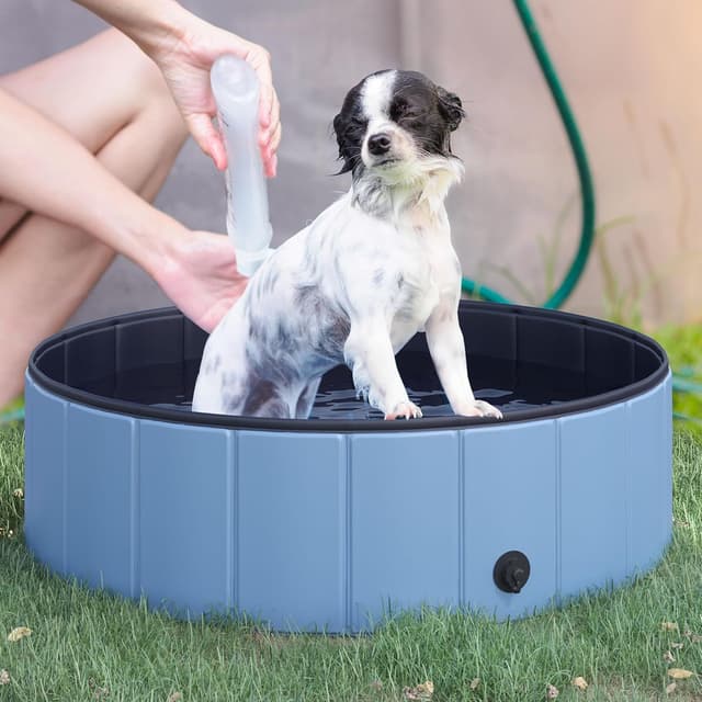 Thumbnail 1 de PawHut Piscine pour chien 100×30 cm