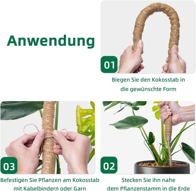Detalle 2 de Mcbazel 160 cm Monstera Rankhilfe aus Kokosfaser mit Zubehör – Pflanzenstütze für Kletterpflanzen im Innenbereich