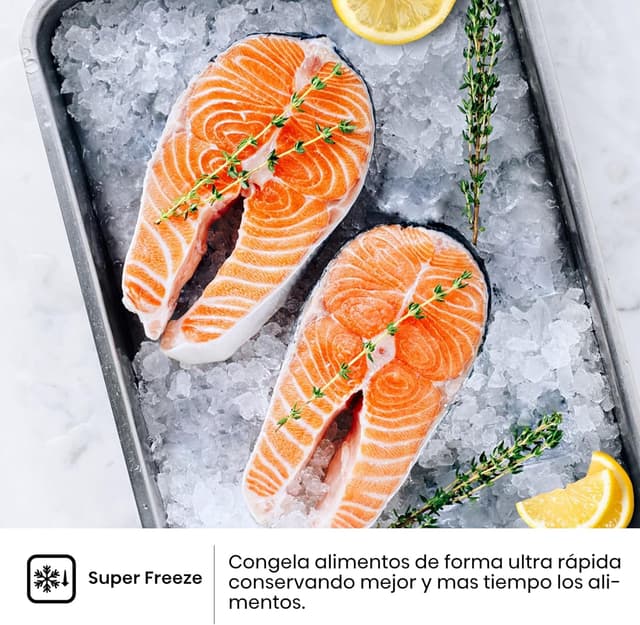 Thumbnail 6 de Hisense RB440N4BCE Frigorífico Combi Inox 336L ❄️