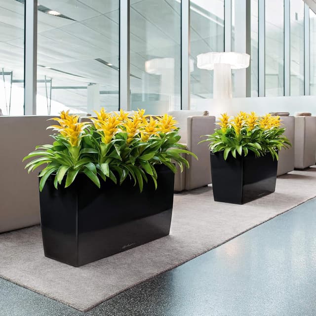 Thumbnail 3 de Lechuza CARARO Komplettset weiß Hochglanz