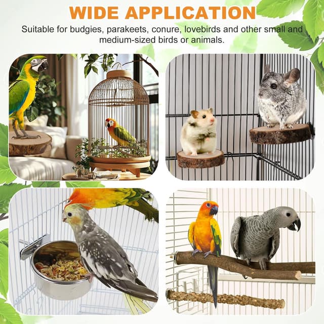 Thumbnail 5 de xianzhanEU Natur Sitzstangen Set 4 Stück für Vögel 🐦